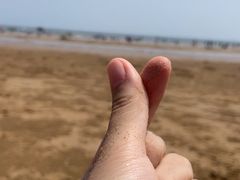 -日照海滨国家森林公园