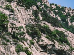 -泰山风景名胜区