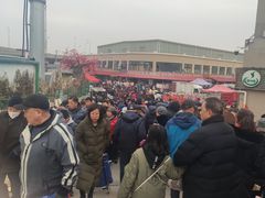 -李村大集