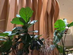 -Bco豆库(星耀天地店)