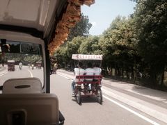 租自行车-西昌邛海湿地