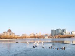 -莲花池公园