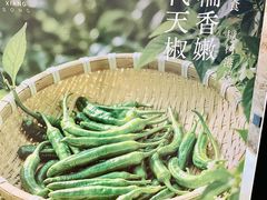 -金光华广场
