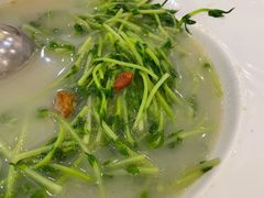 上汤豆苗-岭南海晏楼(东晓南店)