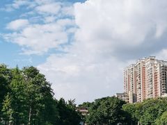-荔湾湖公园