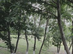 -钟山体育运动公园