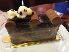 -史努比缤纷世界