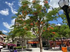 -八婆婆烧仙草(曾厝垵店)