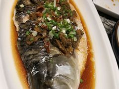 -千日贺茶餐厅(高新万达店)