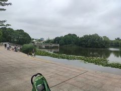-新江湾城公园