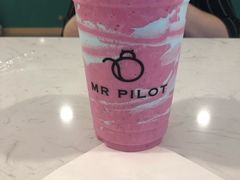 -飞行喵MR PILOT|猫舍·猫咖(静安大融城店)