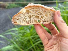 -Pain des Philosophes