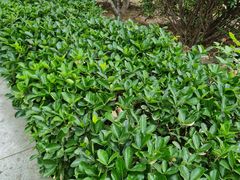 -陶然亭公园南门停车场