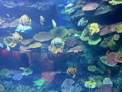 -暹罗海洋世界