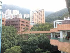 -香港大学