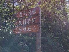 -欢乐松鼠谷