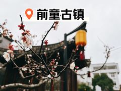 -前童古镇