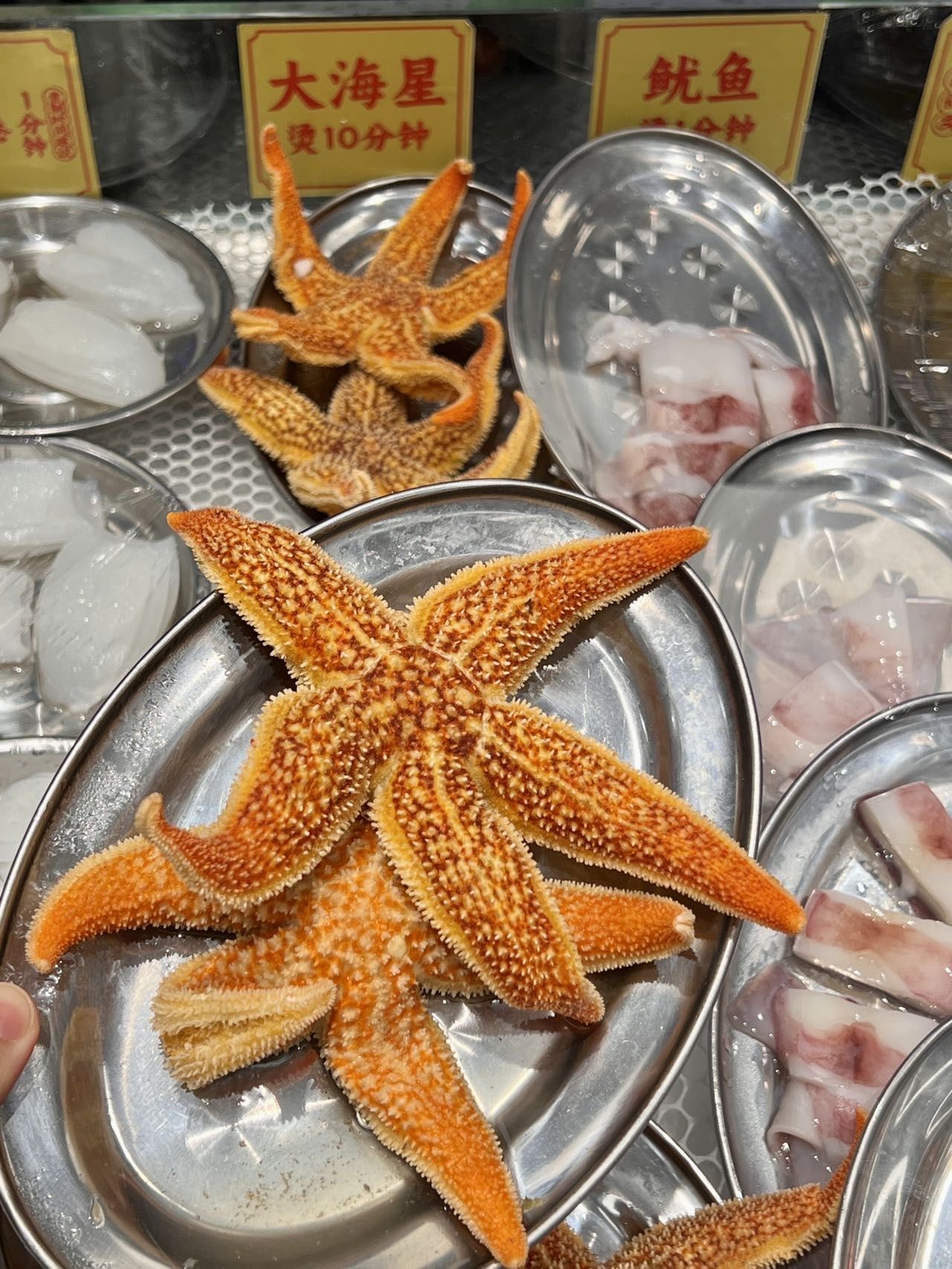 卧卧卧卧卧!金沙洲这家火锅店居然有海星吃!
