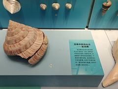 -天津自然博物馆