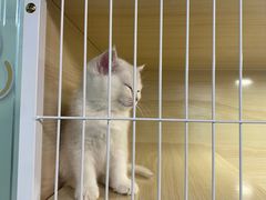 -三旗百汇商品城