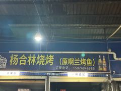 -杨合林啊兰烤鱼