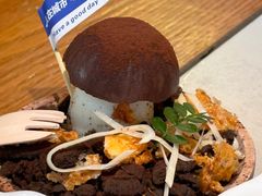 -大理董·董家小厨野生菌火锅(古城旗舰店)