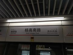 -杨高南路(地铁站)
