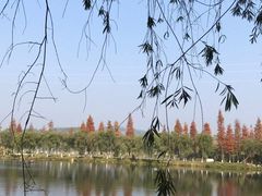 -鹤之洲湿地公园