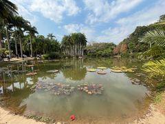 -中国科学院西双版纳热带植物园