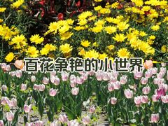 -北陵公园