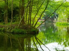 -西溪国家湿地公园