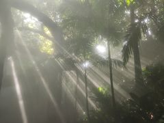 -青青世界