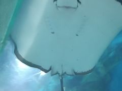 -福州罗源湾海洋世界旅游区