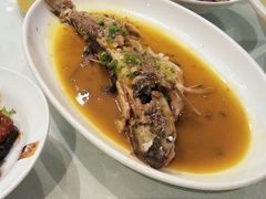 -渔人码头(中南店)