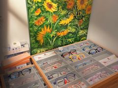 -ORANGE VISION橙光眼镜·蔡司