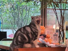 -咖法森林·咖啡  酒吧(天河店)