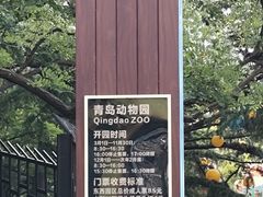 -青岛动物园