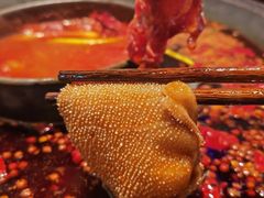 -洪焱重庆老火锅(万福花园店)