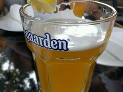 福佳白啤酒-Malena玛莲娜
