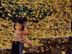 -径山寺