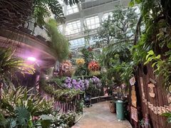 -正佳雨林生态植物园