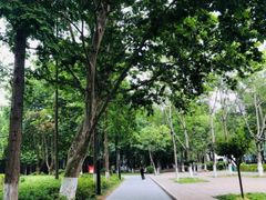 -渡海小渔村.老辈日照菜