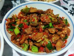 -壹盏灯(惠农店)