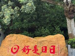 -国恩寺