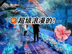-重庆欢乐海底世界