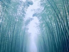 -蜀南竹海景区