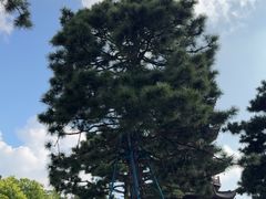 -龙华寺