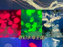 -海合安武汉极地海洋公园