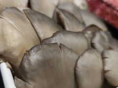 平菇-杨家火锅(国美店)