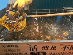 -雍容荟帝王蟹活龙虾展台自助(IFS黑金店)